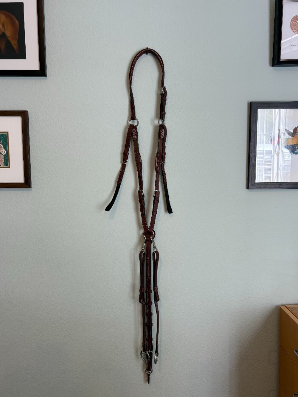 CWD Sport Color raised adjustable bridge breastplate - Picture 4 of 8